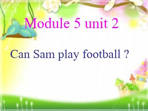 新外研版四年级英语上册Unit 2 Can Sam play football 课件 1.ppt
