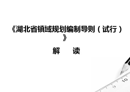 《湖北省镇域规划编制导则(试行)》解读