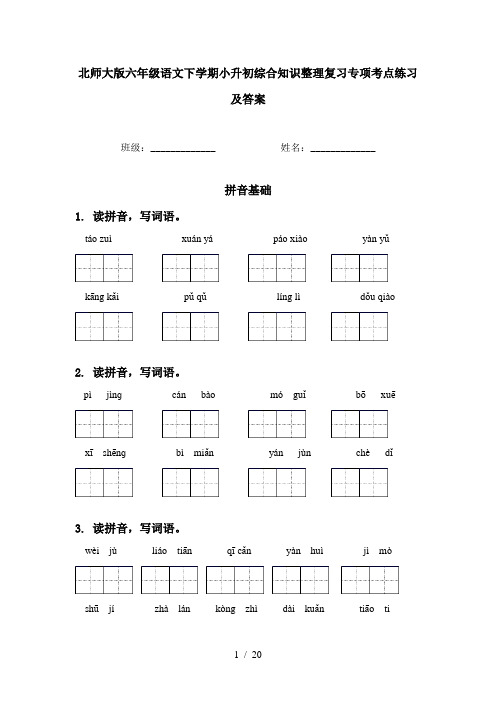 北师大版六年级语文下学期小升初综合知识整理复习专项考点练习及答案
