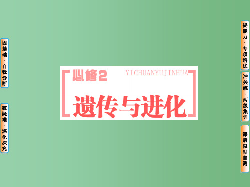 高考生物第一轮复习 第一单元 第1讲 孟德尔的豌豆杂交实验(一) 新人教版必修2
