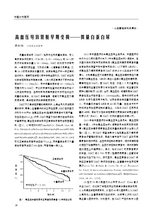 高血压导致肾脏早期受损——微量白蛋白尿