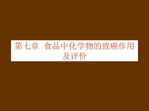 第七章  外源化学物的致癌作用
