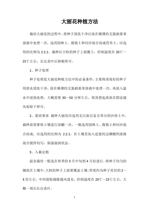 大丽花种植方法
