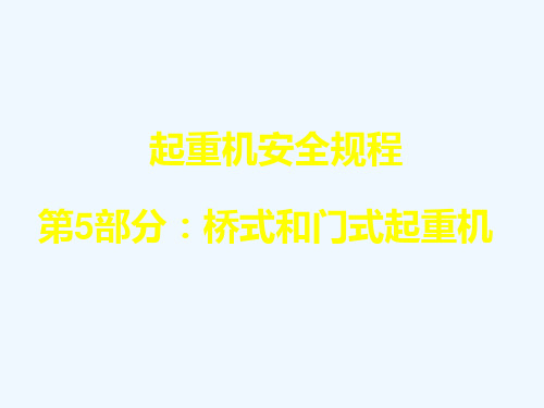 起重机械安全规程(第五部分桥式和门式起重机)