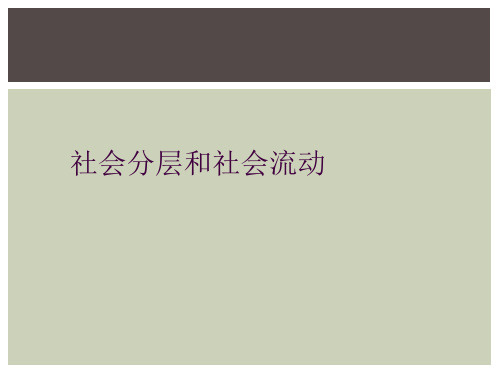 社会分层和社会流动