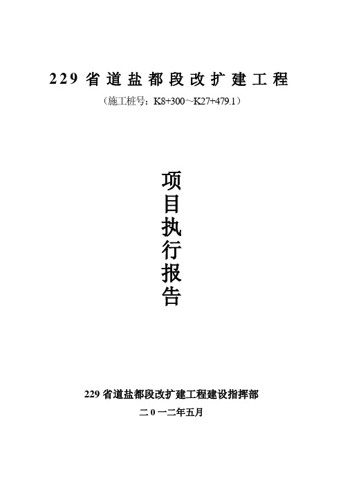 229省道盐都段工程项目执行报告(业主总结)(1)