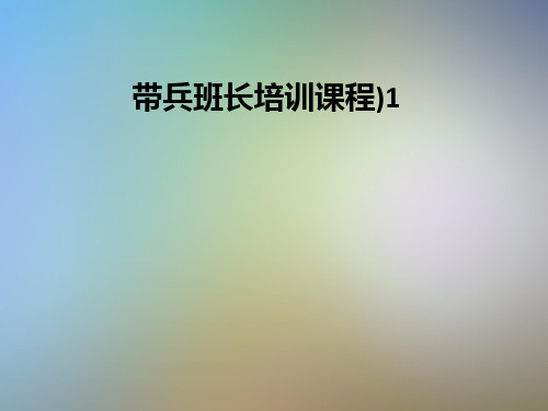 带兵班长培训课程)1