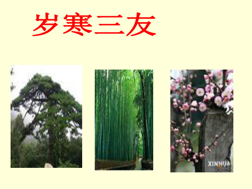 苍松怪石图题诗