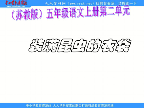 苏教版五年级上册《装满昆虫的衣袋 》PPT课件 公开课获奖课件