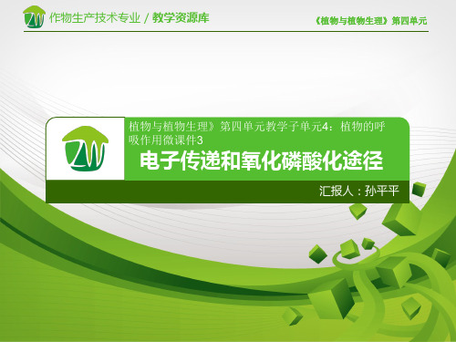 电子传递和氧化磷酸化途径微课件.ppt