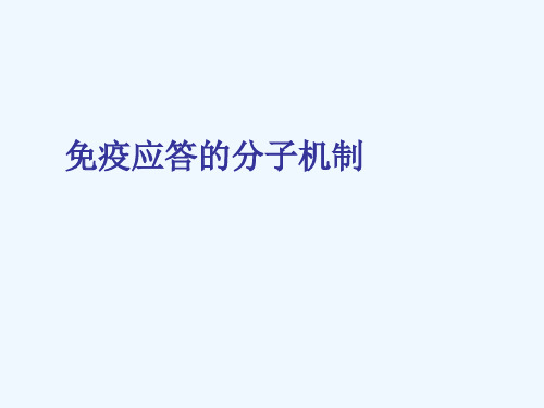 免疫应答的分子机制(研)