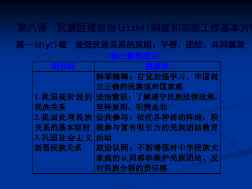 政治必修二抢分教程课件第三单元第八课第一框处理民族关系的原则平等团结共同繁荣