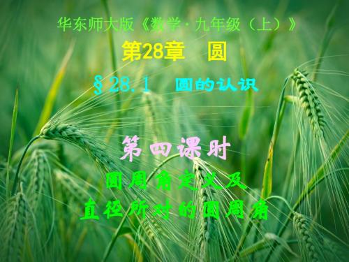 28.1(第四课时)圆周角定义及直径所对的圆周角课件 华东师大版课件