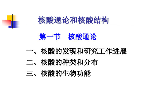 Biochemistry-nucleic acid-1 核酸