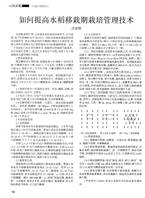 如何提高水稻移栽期栽培管理技术