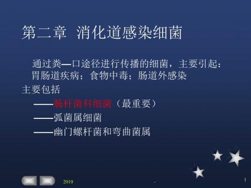 细菌个论ppt课件