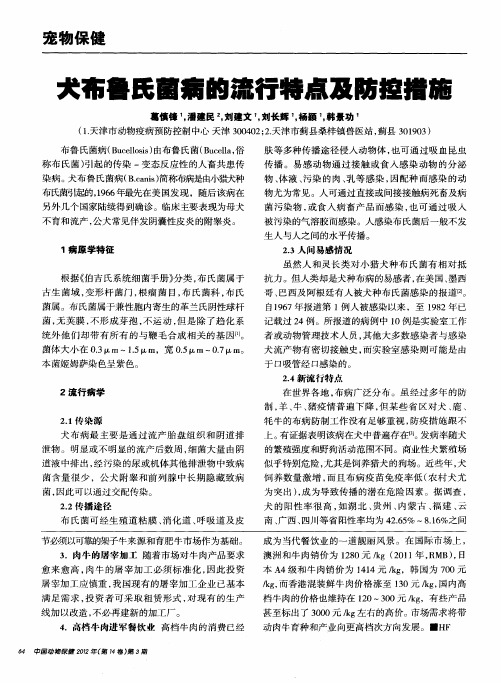 犬布鲁氏菌病的流行特点及防控措施
