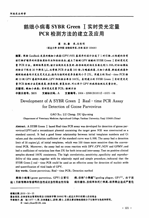 鹅细小病毒SYBR Green Ⅰ实时荧光定量PCR检测方法的建立及应用