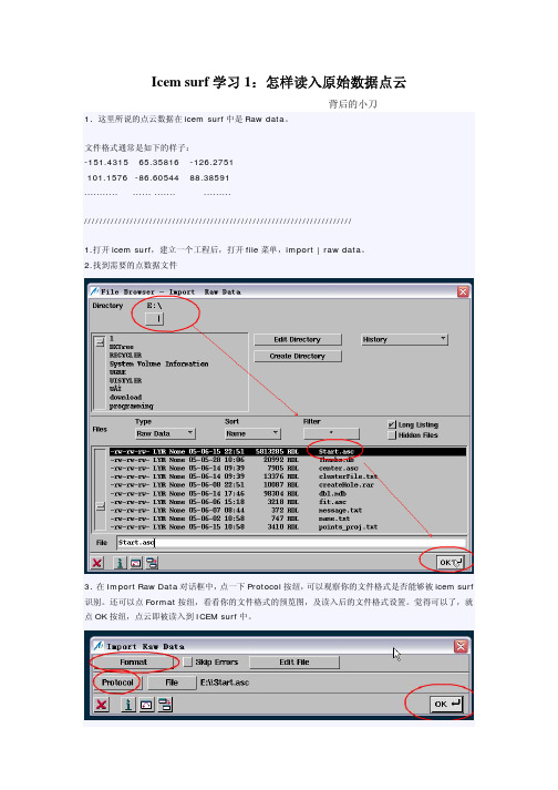Icem surf学习1