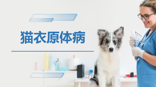 犬猫的传染病(猫衣原体病)-宠物医生课件