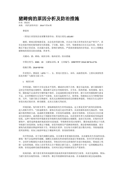 猪蹄病的原因分析及防治措施