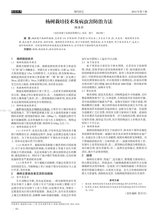 杨树栽培技术及病虫害防治方法