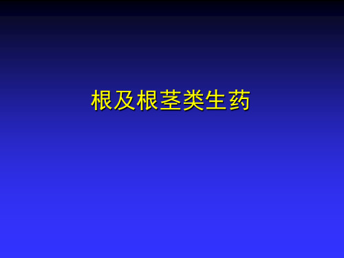 根及根茎类生药