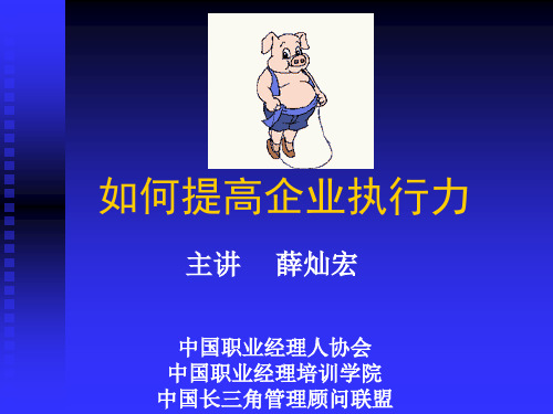 如何提高企业执行力(PPT48页).pptx