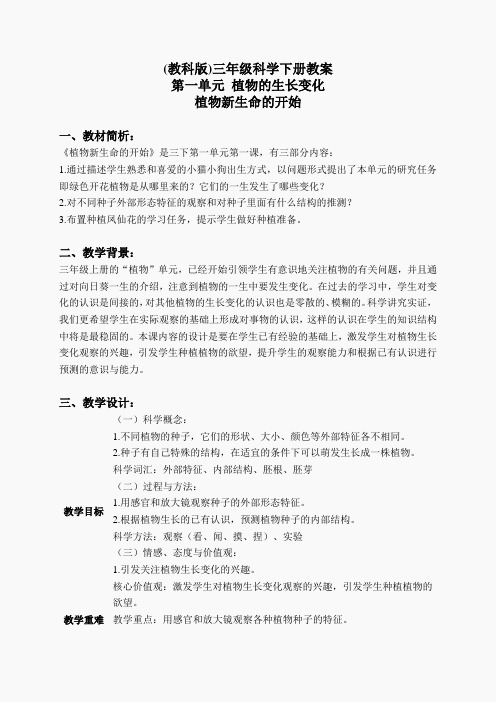 教科小学科学三下《1.1.植物新生命的开始》word教案(6)