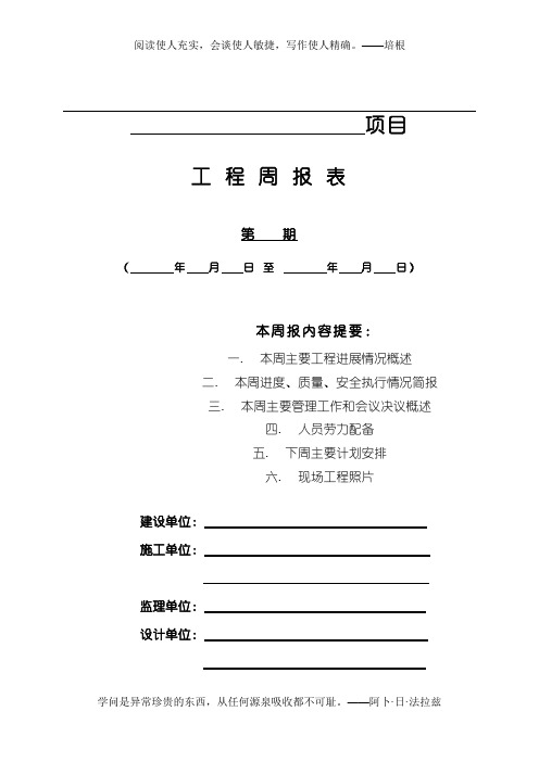 建筑工程周报表模板