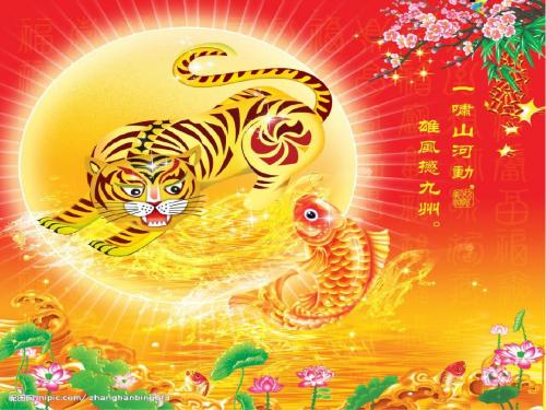 《华南虎》ppt课件