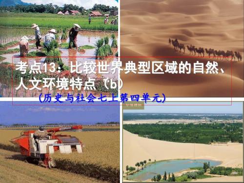 考点7：比较世界典型区域的自然、人文环境特点(1)(b)[1]