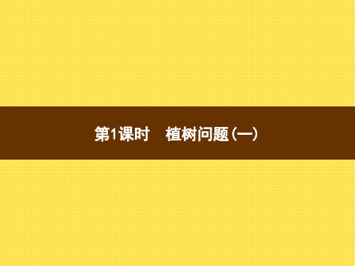 7  第1课时 植树问题(一)