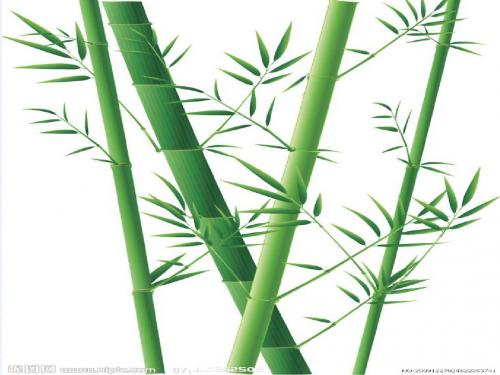 北师大版一年级语文下册《竹乡之歌》