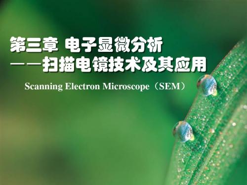 第三章光谱分析-SEM