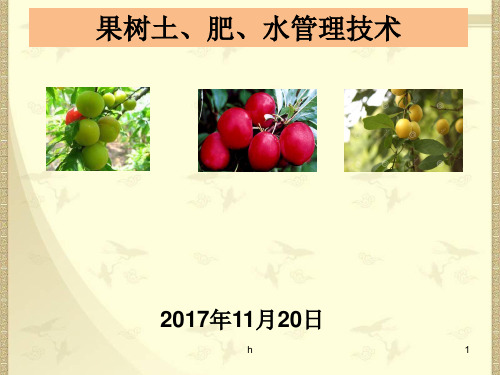 《果实土水肥管理》PPT课件