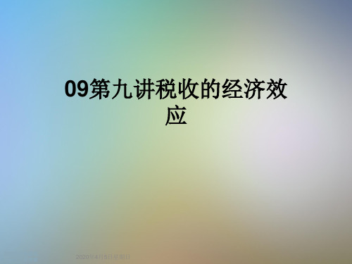09第九讲税收的经济效应