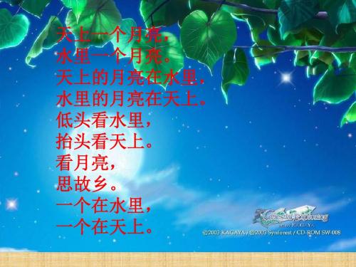 苏教版语文八上《枣核》ppt课件2