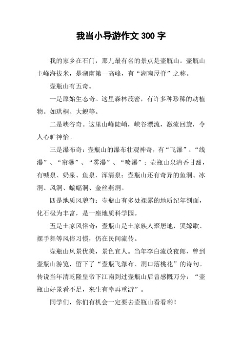我当小导游作文300字