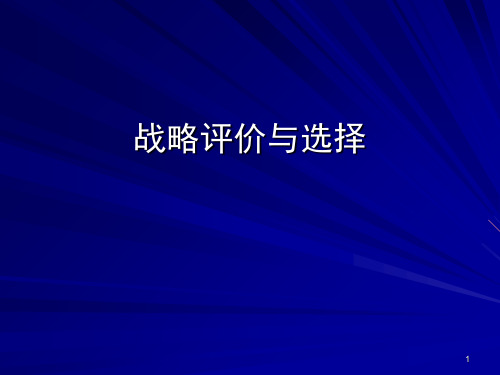 战略评价与选择(ppt 57)