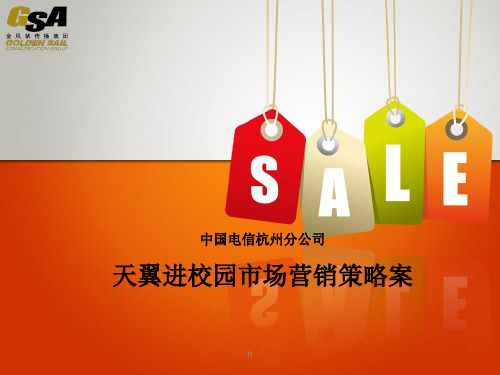 杭州电信天翼进校园活动市场营销策划策略提案