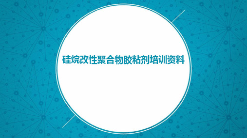 硅烷改性聚合物树脂培训资料