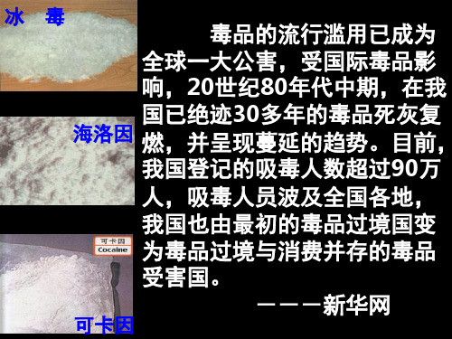 讲述林则徐虎门销烟的故事.(课堂PPT)