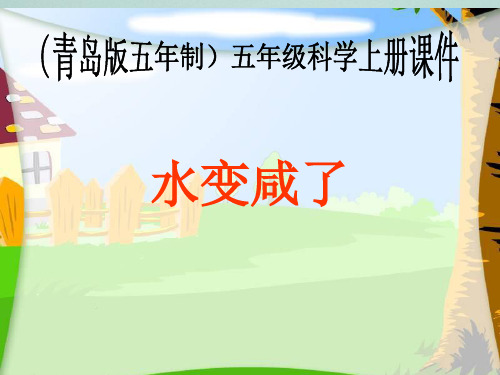14《水变咸了》ppt教学件(1)