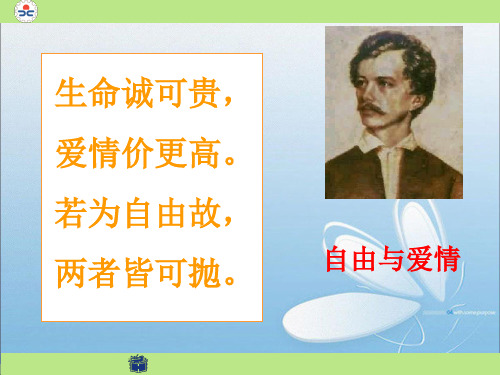 教学课件：我愿意是激流 2