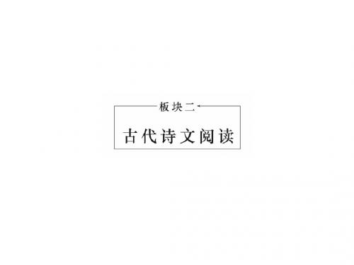 2015届高考语文第一轮考点专题复习课件29