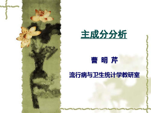 主成分分析