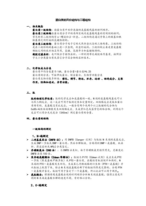 4-6蛋白质的共价键结+三维结构+性质