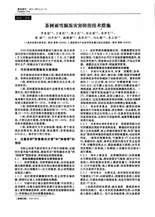 茶树雨雪凝冻灾害防治技术措施