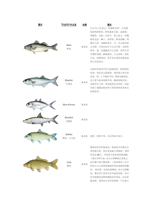 鱼类英语